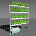Hydroponic System