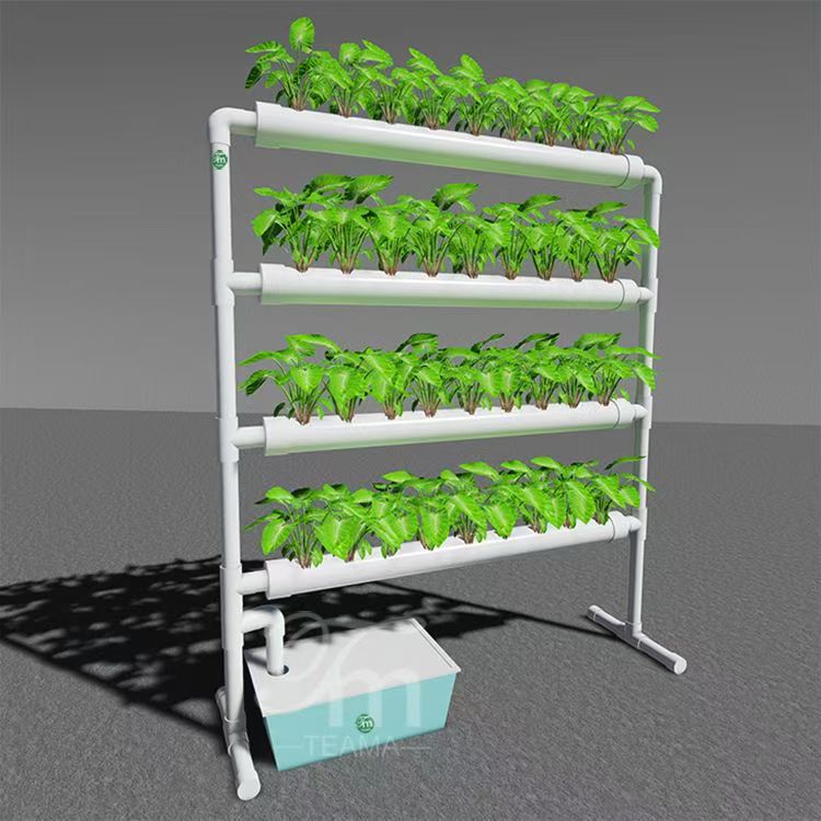Hydroponic System